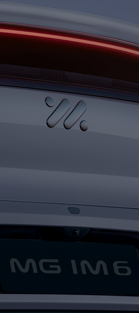 MG IM6 in Rembrandt Grey, Detailansicht Logo hinten